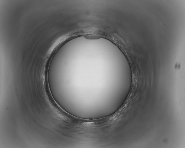 X0000097590054200803141903