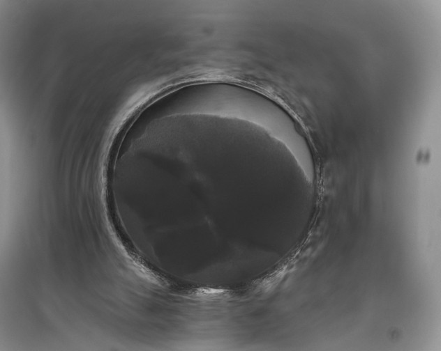 X0000097590055200803141903