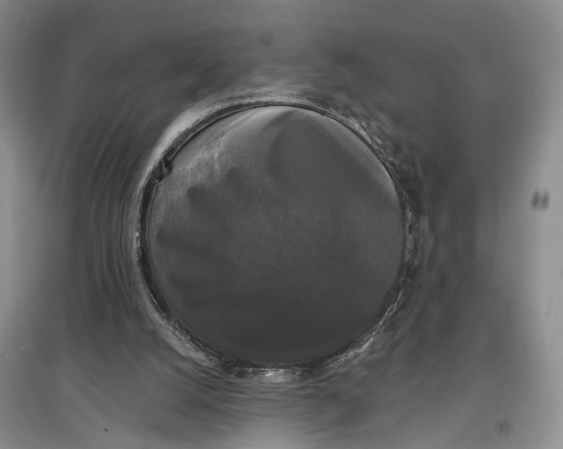 X0000097590056200803141903