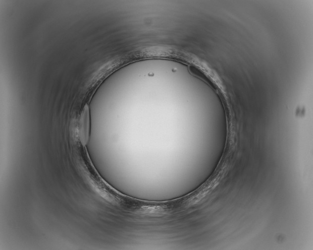 X0000097590057200803141903