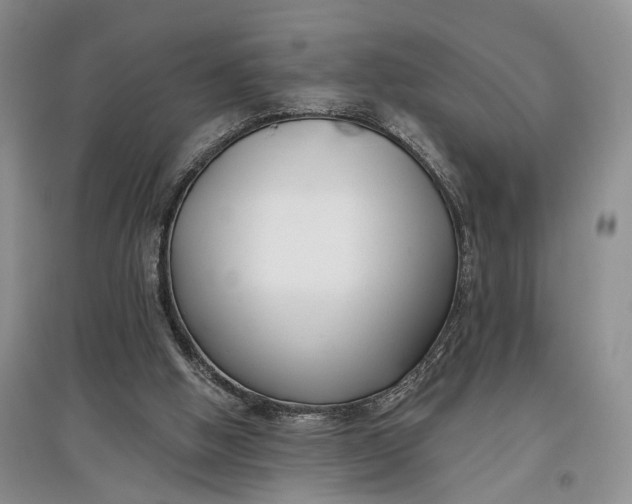 X0000097590058200803141903