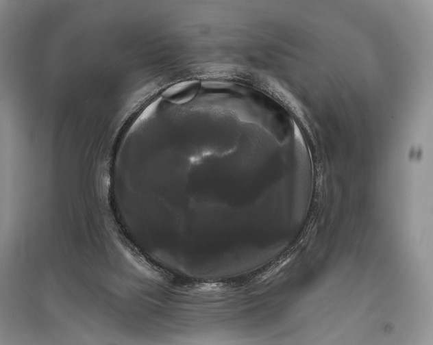 X0000097590059200803141903