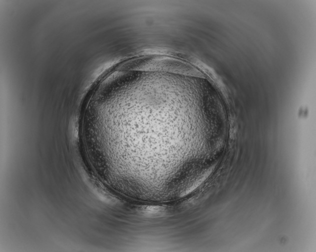 X0000097590060200803141903