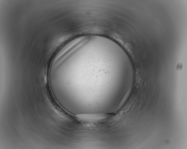 X0000097590062200803141904