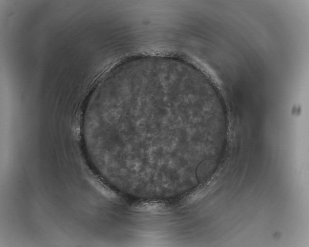 X0000097590065200803141904