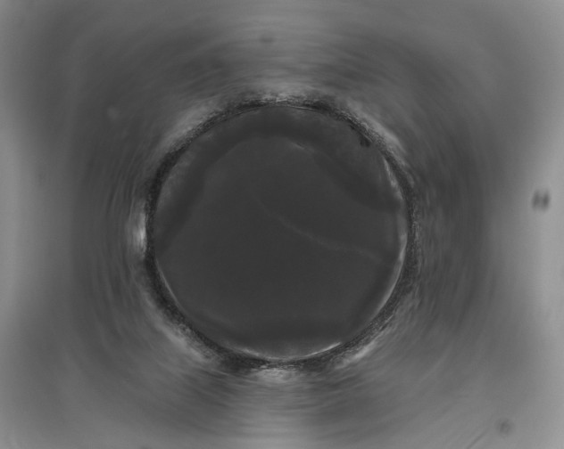 X0000097590067200803141904