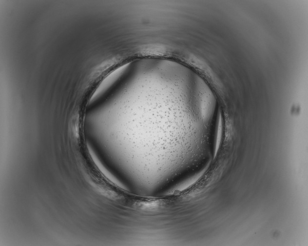 X0000097590068200803141904