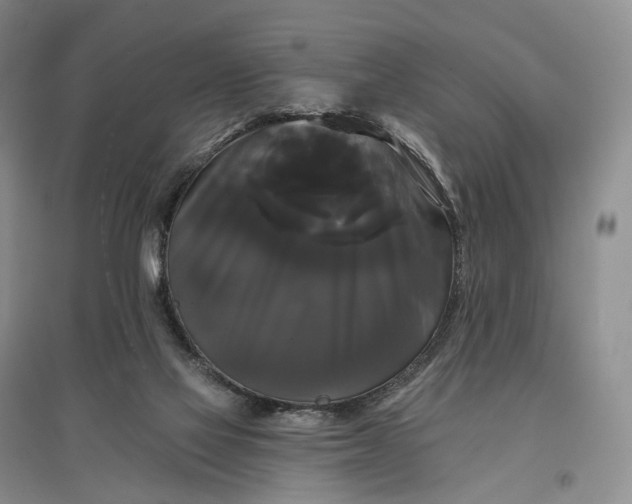 X0000097590069200803141904