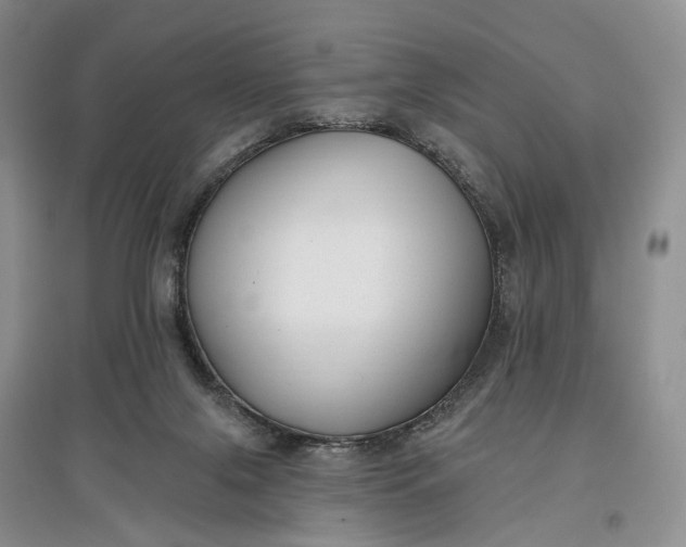 X0000097590071200803141904