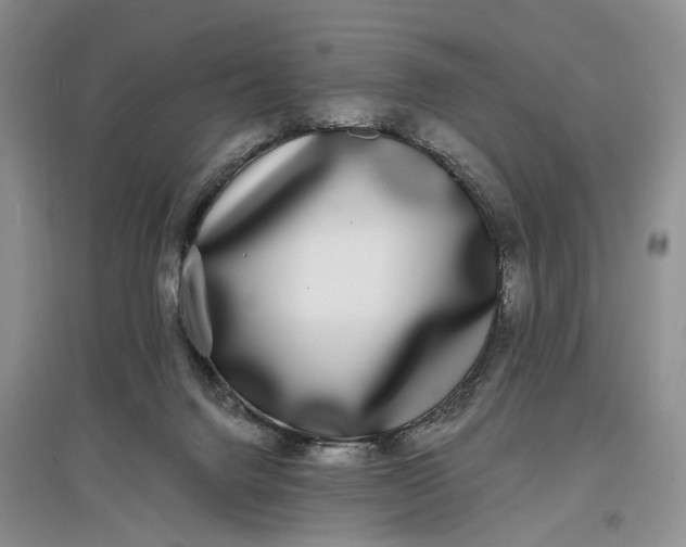 X0000097590072200803141904