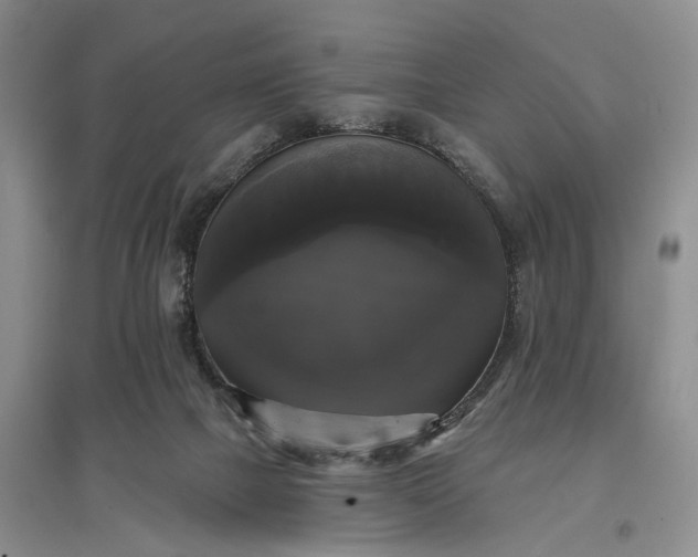 X0000097590073200803141904