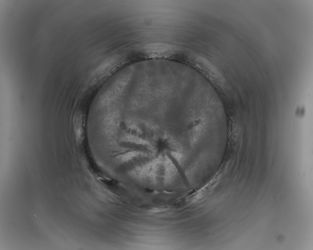 X0000097590074200803141904