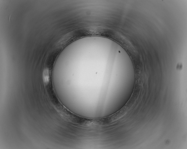 X0000097590075200803141904