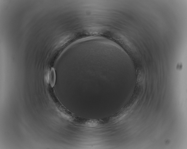 X0000097590076200803141904