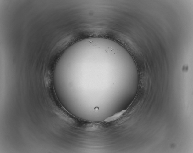 X0000097590077200803141904