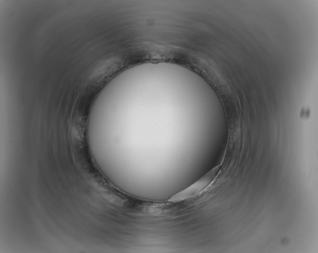 X0000097590078200803141904