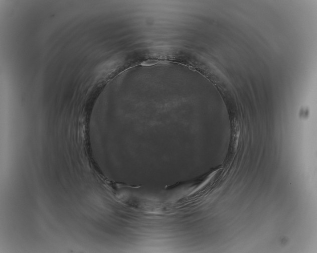 X0000097590080200803141904