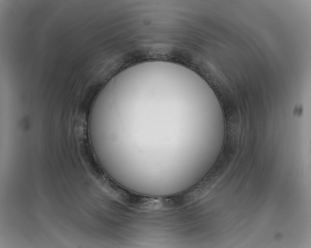 X0000097590083200803141904