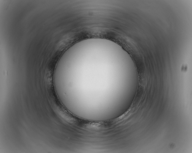 X0000097590086200803141904