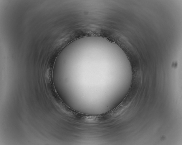 X0000097590088200803141904