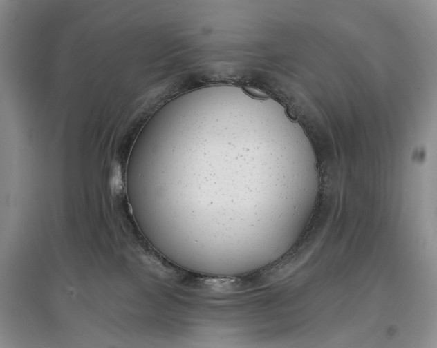 X0000097590089200803141904