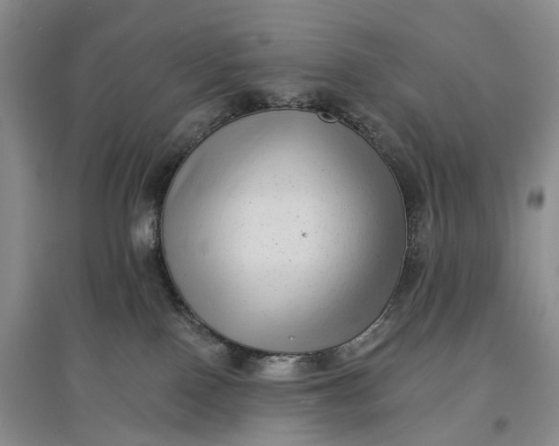 X0000097590090200803141904