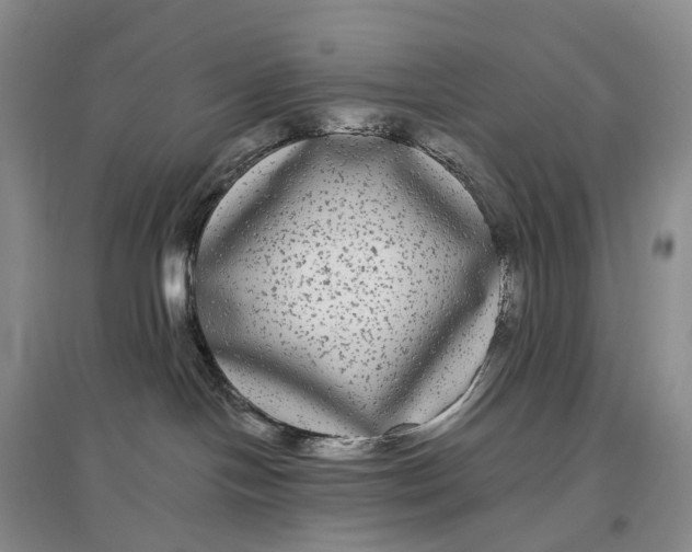 X0000097590094200803141904