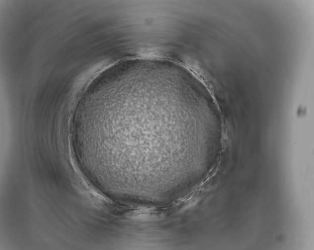 X0000097590097200803141903