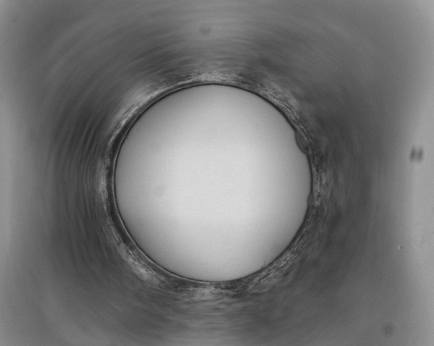 X0000097590098200803141903