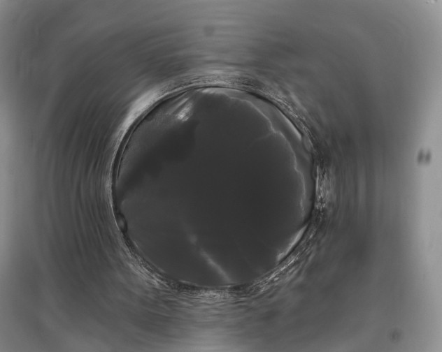 X0000097590099200803141903