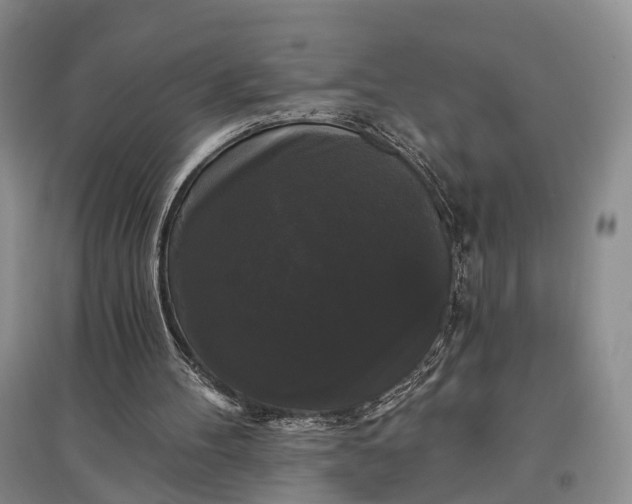 X0000097590100200803141903