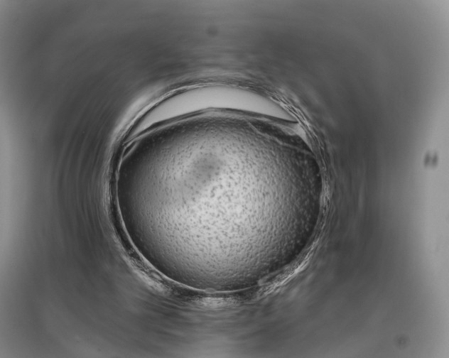 X0000097590101200803141903