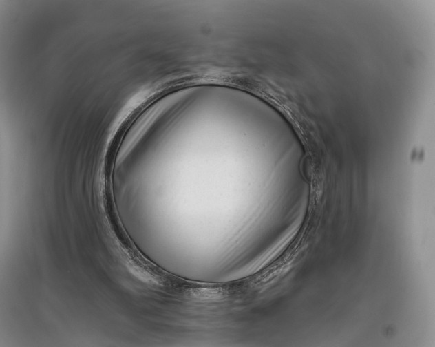 X0000097590102200803141903