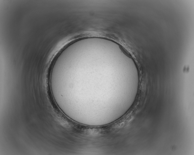 X0000097590103200803141903