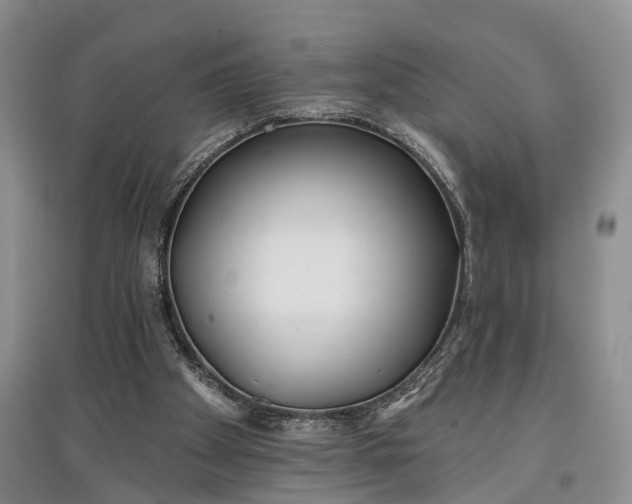 X0000097590105200803141903