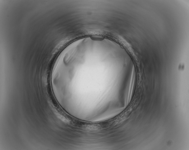 X0000097590106200803141903