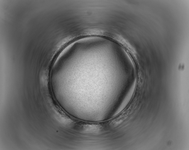 X0000097590107200803141903