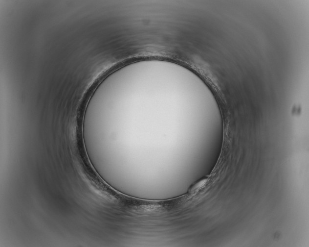 X0000097590108200803141903