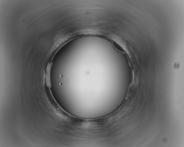 X0000097590109200803141903