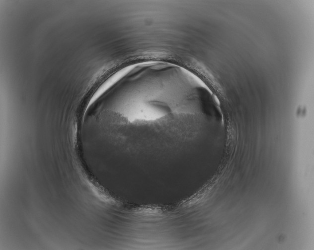 X0000097590110200803141903