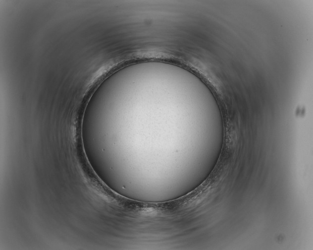 X0000097590111200803141903