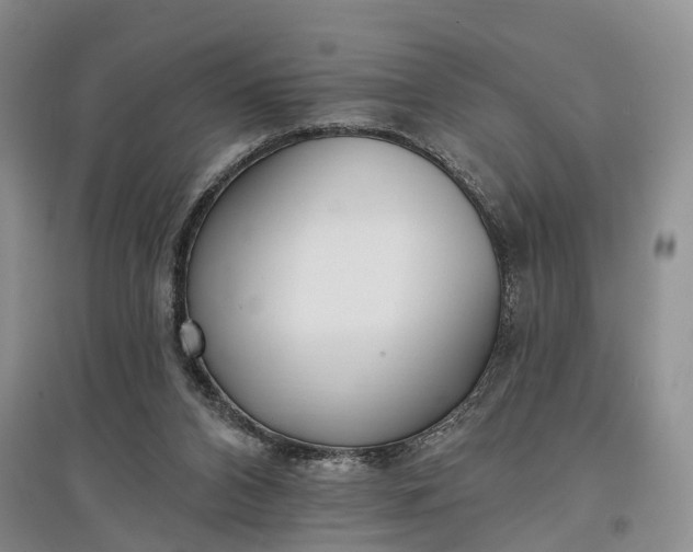 X0000097590112200803141903