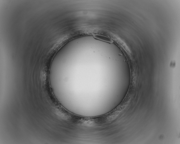 X0000097590113200803141903