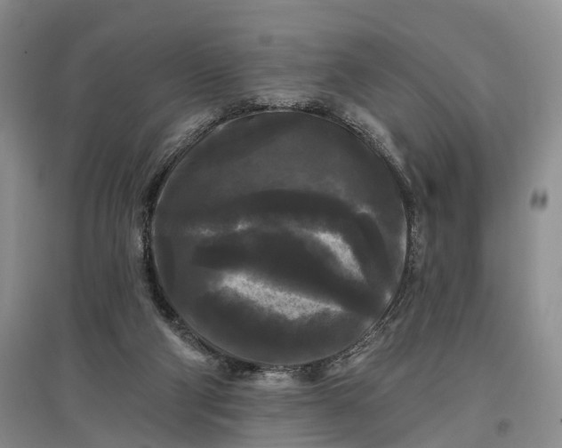 X0000097590114200803141903