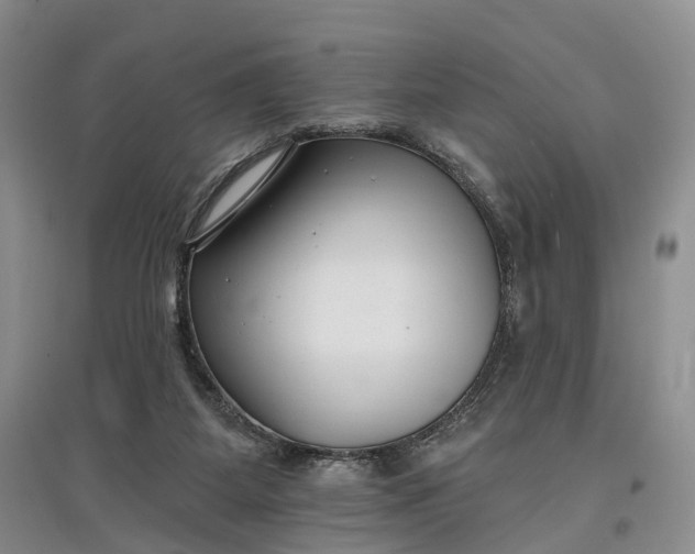 X0000097590115200803141903