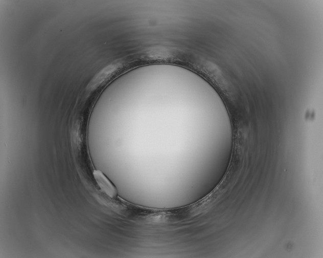 X0000097590116200803141903