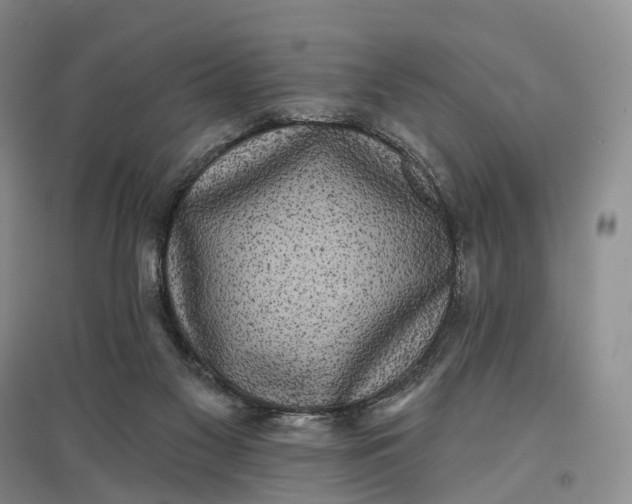 X0000097590117200803141903