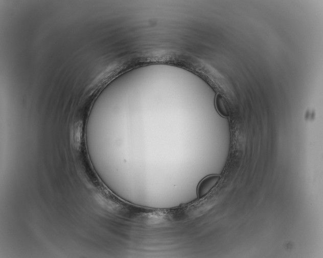 X0000097590118200803141903