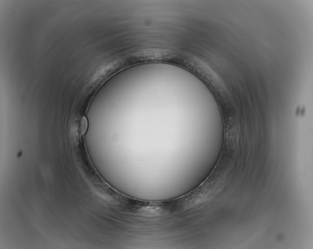 X0000097590119200803141903