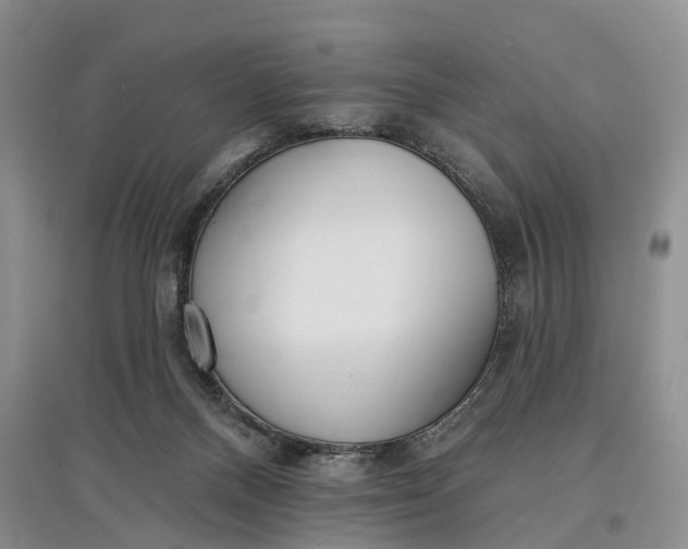 X0000097590120200803141903